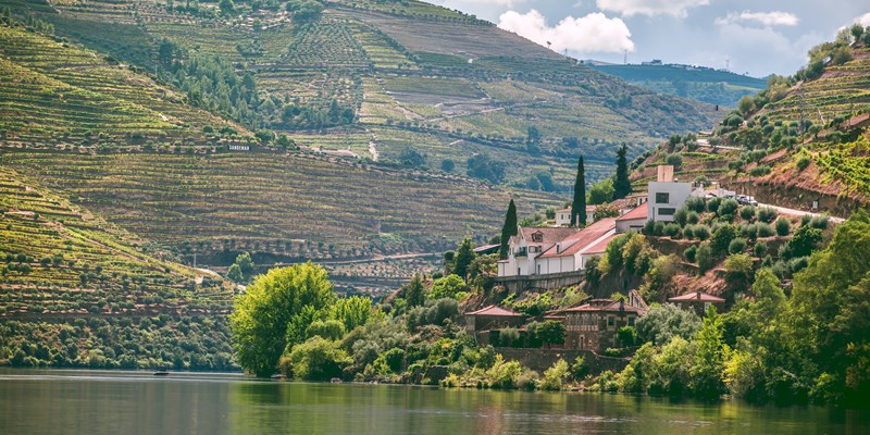 Douro Valley - Quinta de la Rosa. Pinhão, Portugal