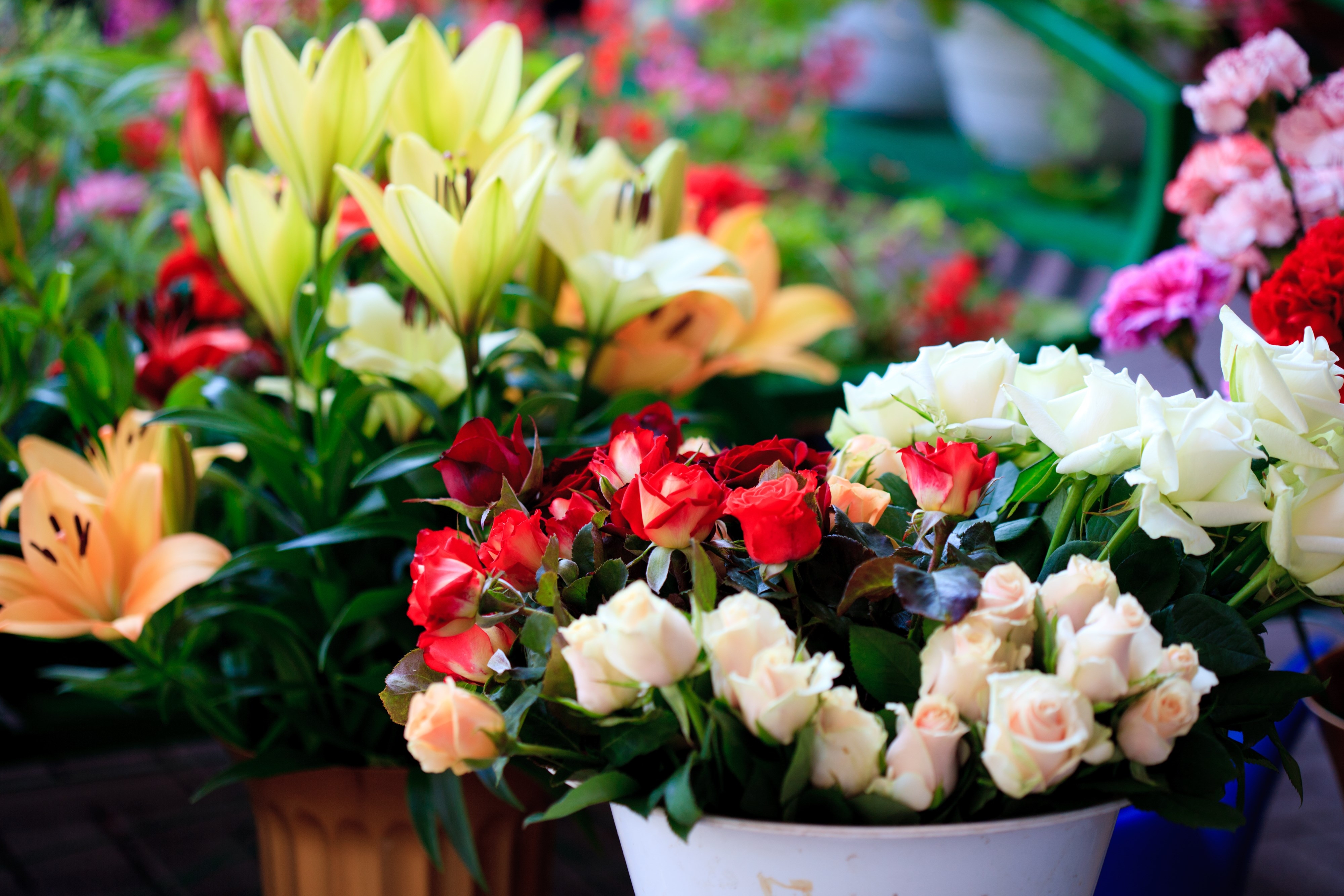 Flowers