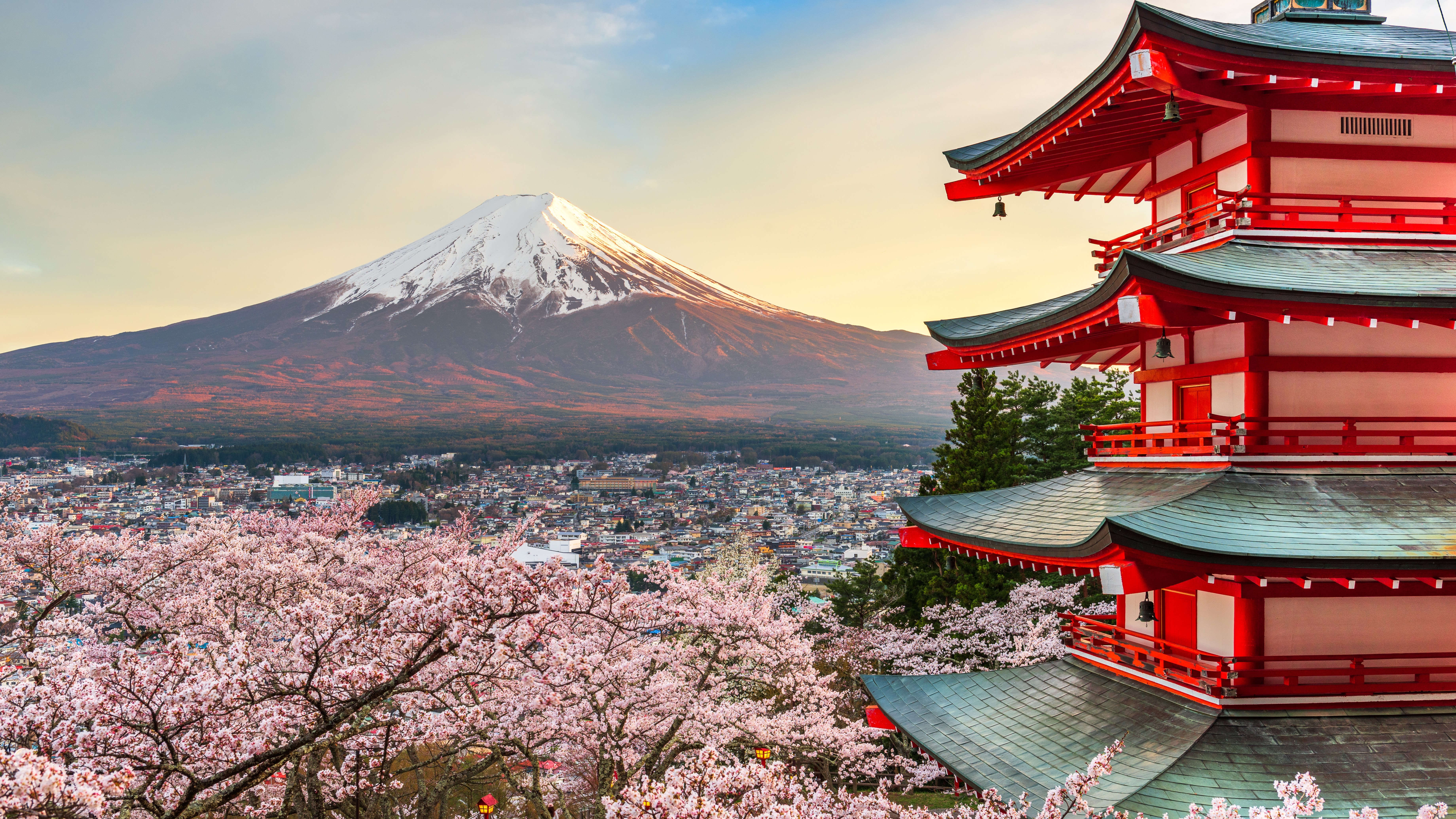 Fujiyoshida, Japan at Chureito Pagoda and Mt. Fuji in the spring with cherry blossoms.