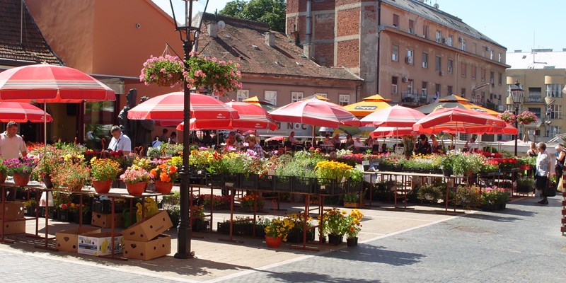 Man at the shopping centre