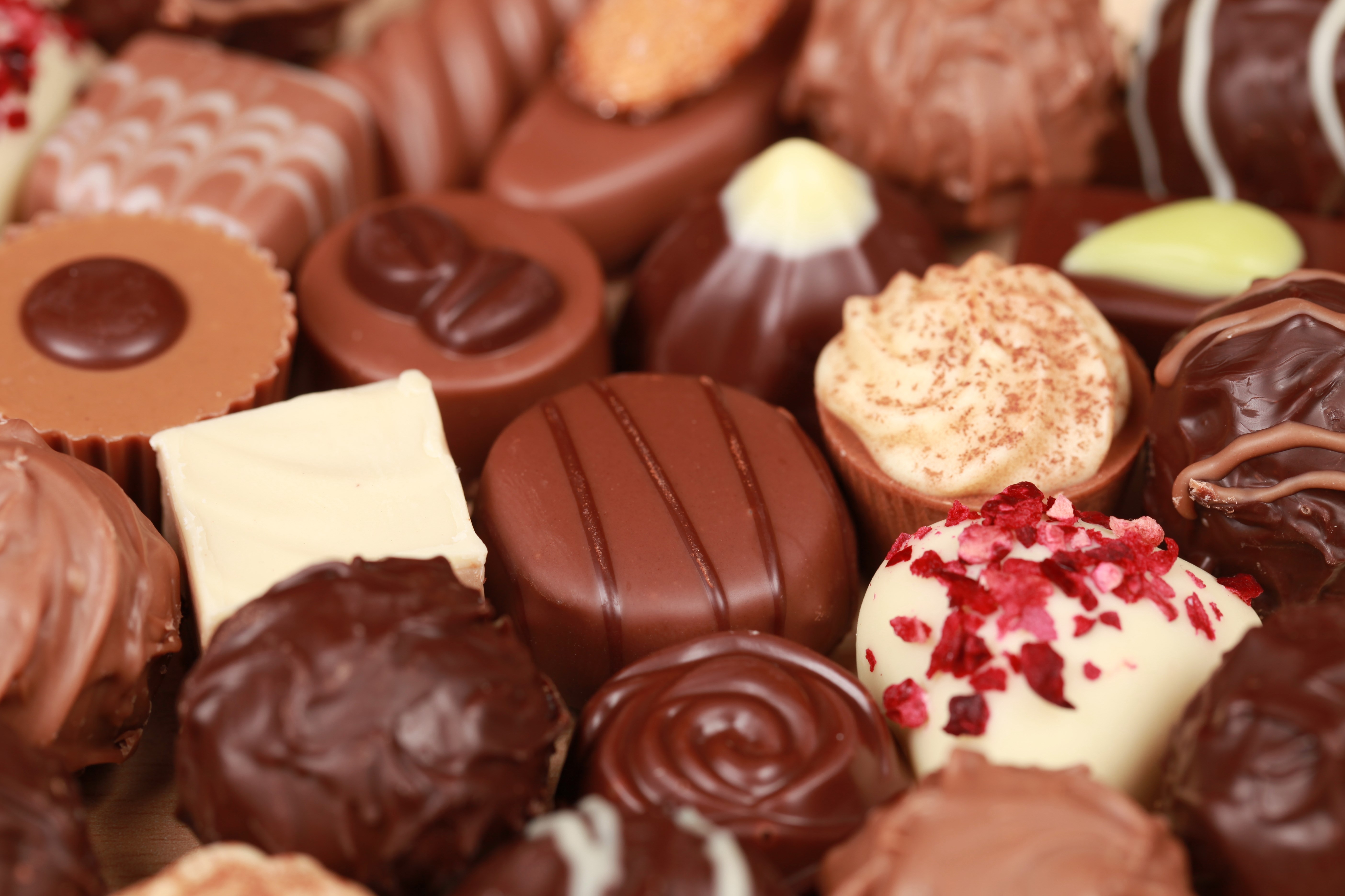 Assorted white, dark and milk chocolate pralines